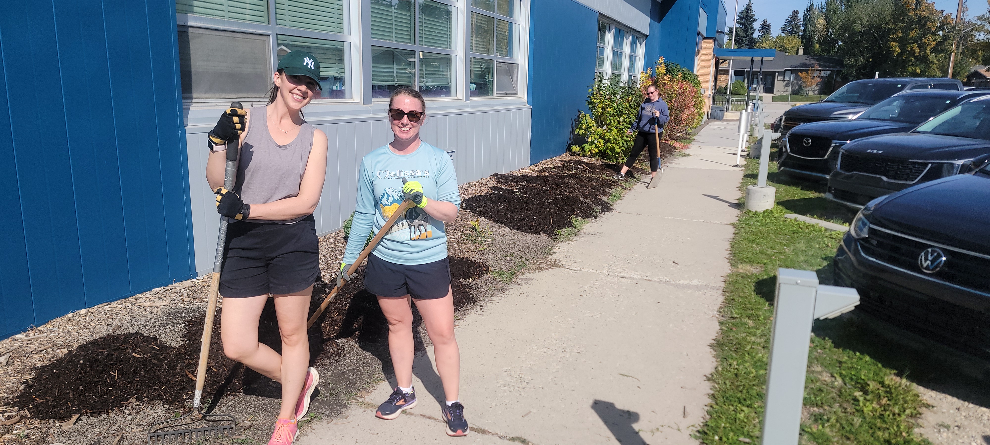 Yard clean up 1