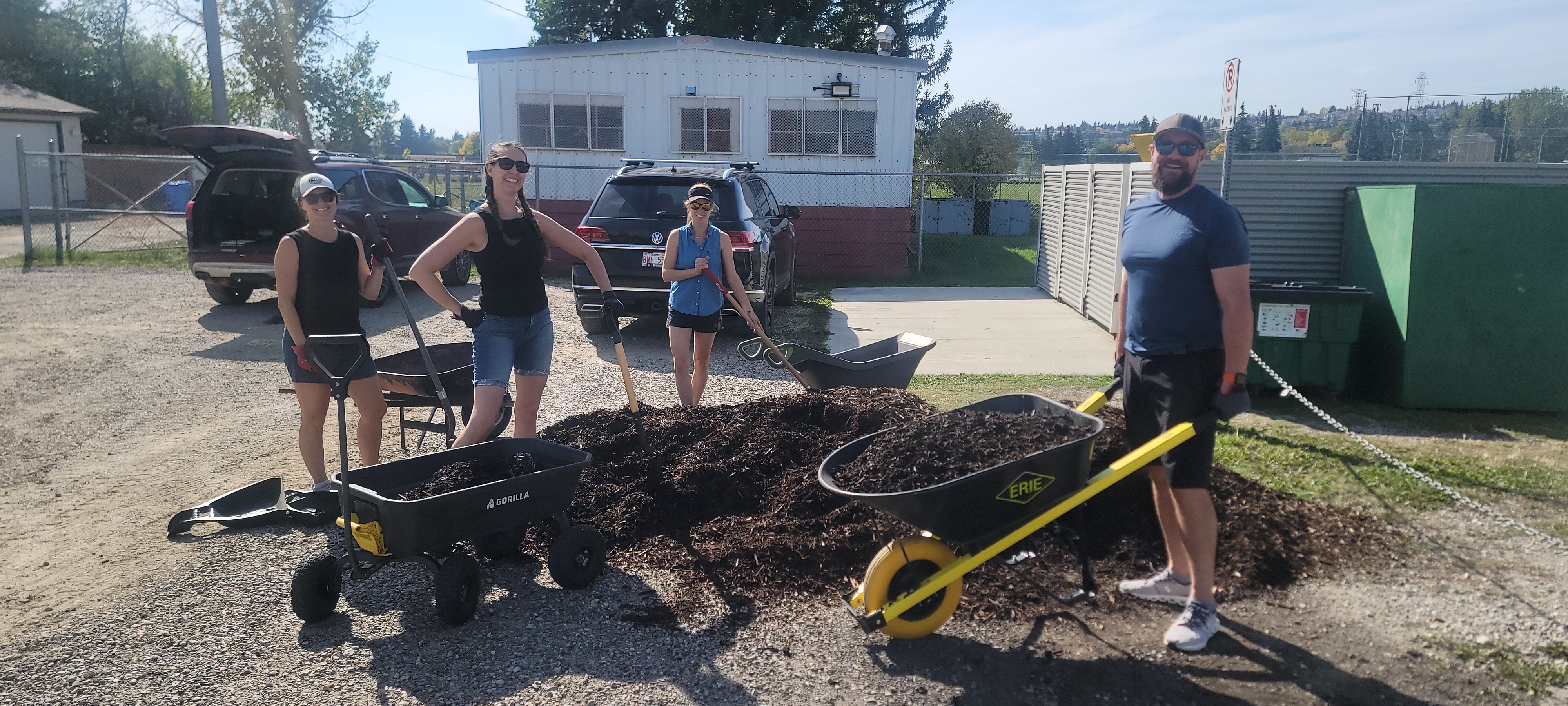Yard clean up 2