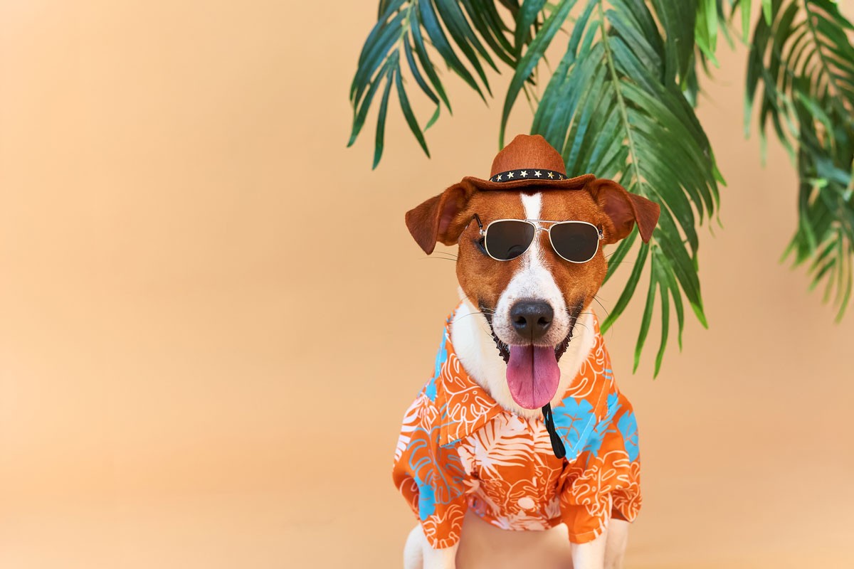 Spirit Day - Hawaiian Shirt, Tropical Shirt, Beach Day