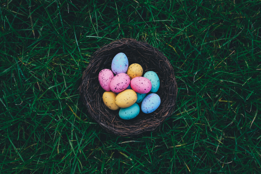 Easter Eggs, Nest, Happy Easter, Confection, Candy